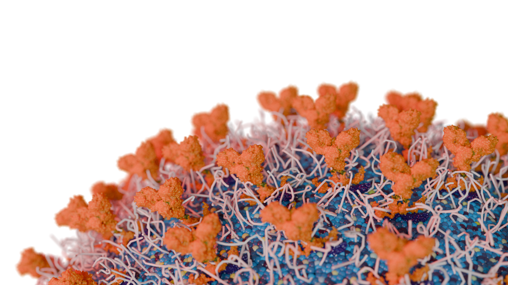 Surface of a lipid nanoparticle